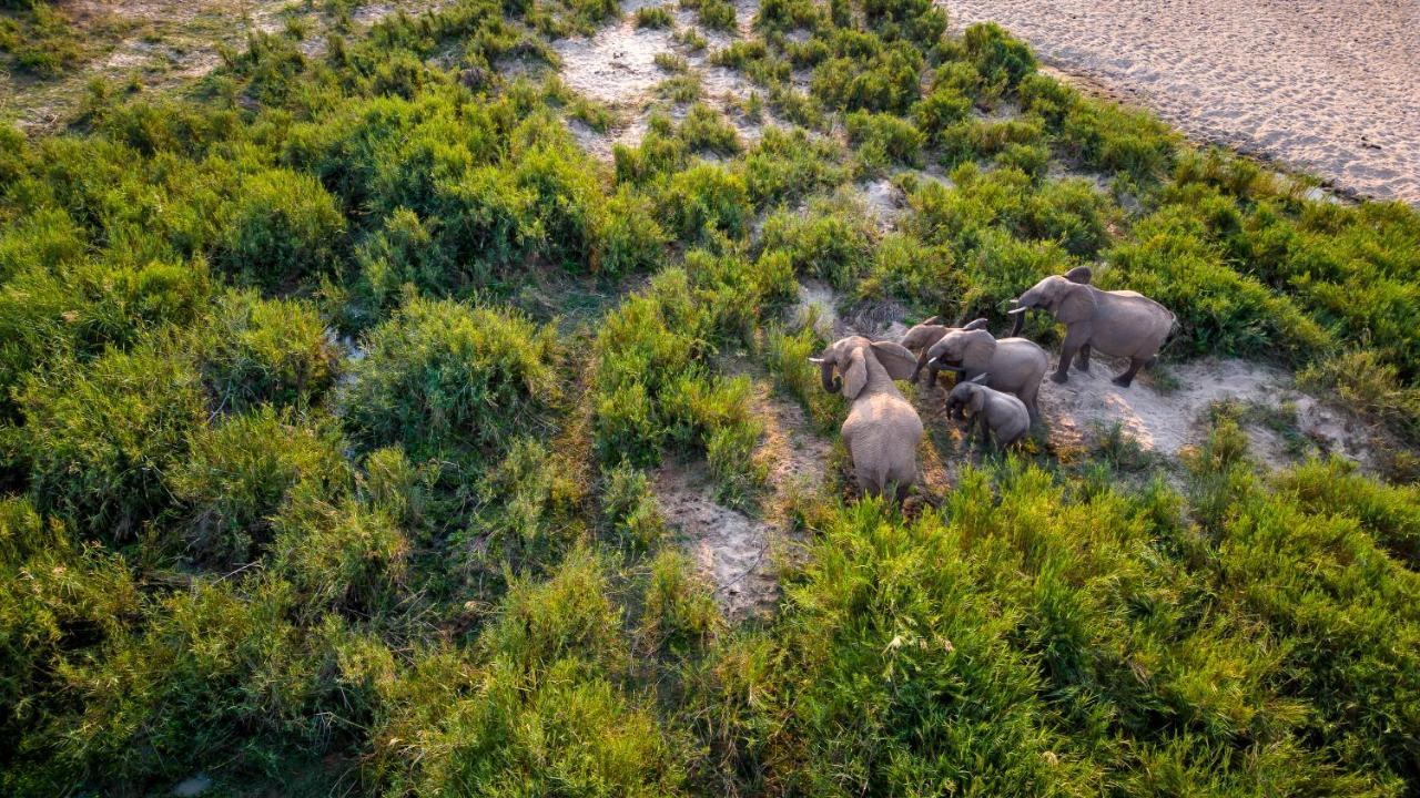 Buckler'S Africa Lodge Kruger Park Komatipoort Extérieur photo
