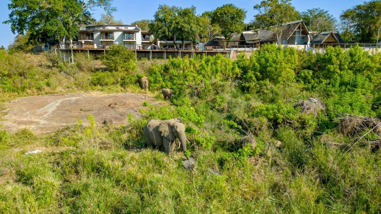 Buckler'S Africa Lodge Kruger Park Komatipoort Extérieur photo