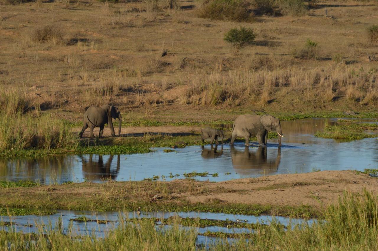 Buckler'S Africa Lodge Kruger Park Komatipoort Extérieur photo